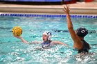 WWPolo @ CC  Wheaton College Women’s Water Polo at Connecticut College. - Photo By: KEITH NORDSTROM : Wheaton, water polo